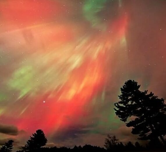 Northern Lights